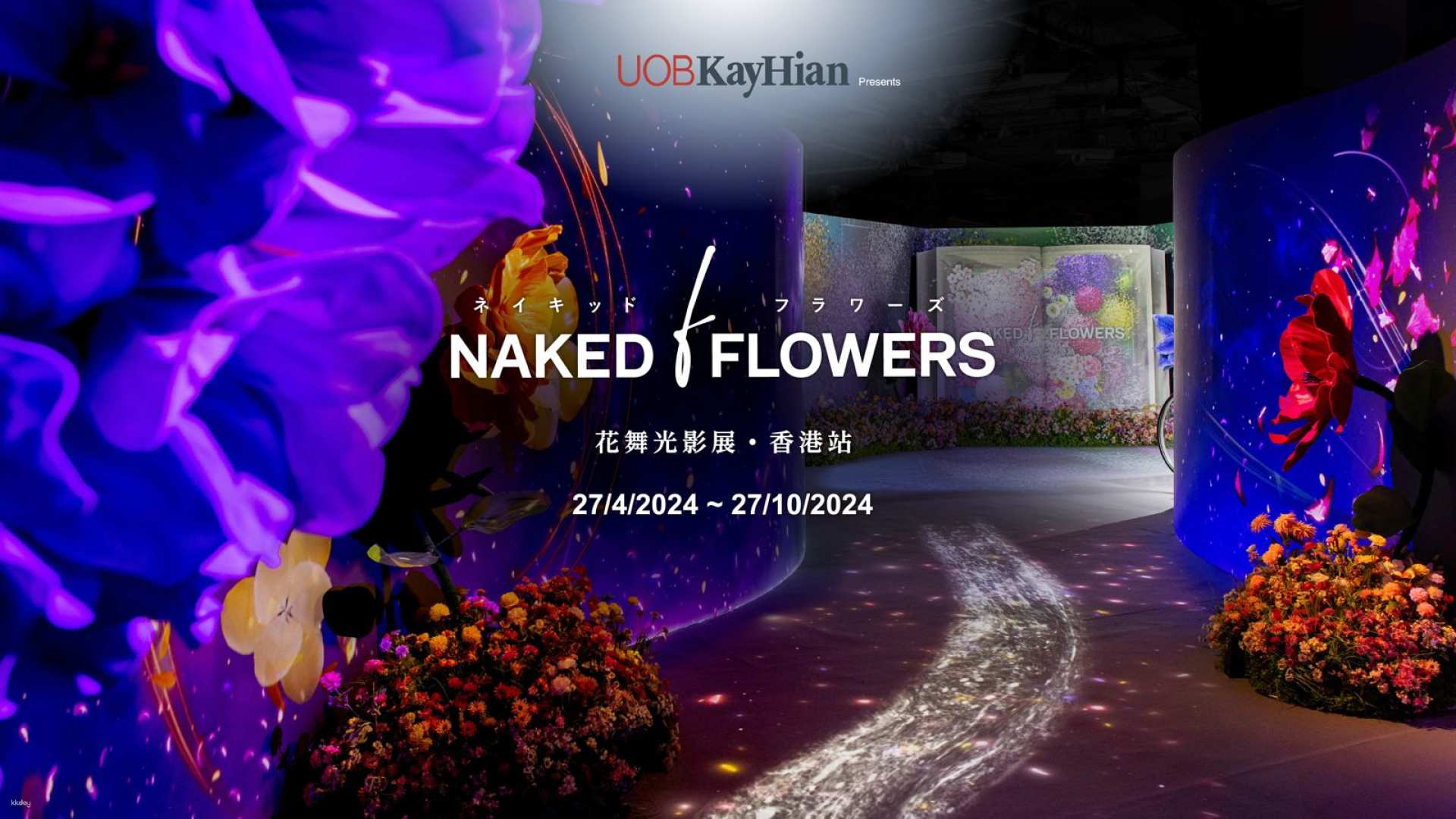[Popular Exhibition in Hong Kong] UOB Kay Hian presents: NAKED FLOWERS Light and Shadow Exhibition - Photo 1 of 9